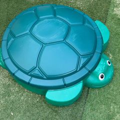 baby sand tub turtle