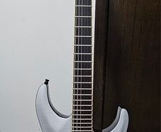 ESP LTD PH600 Signature Guitar