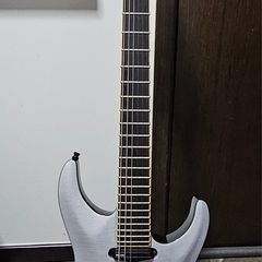 ESP LTD PH600 Signature Guitar