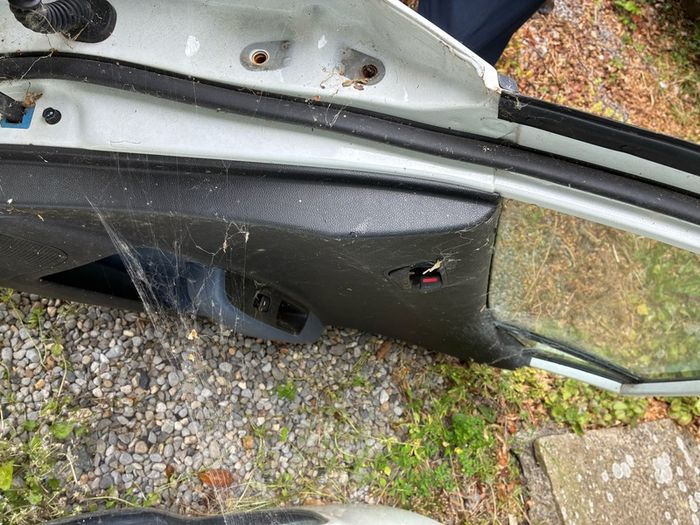 Drivers door i10