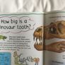 3 Miles Kelly Kids Books Image 6