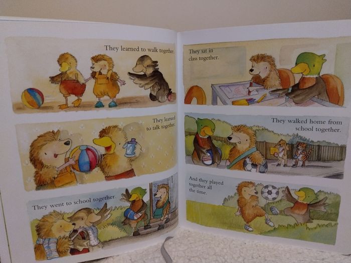 Wonderful Collection Of Children,s Books,  Hardbacks