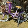 Raleigh 16" Bike Image 4