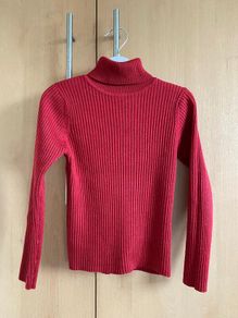 Next Girls Red / Wine Polo neck - see 2 pics