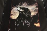 The Stranglers Raven lp Irish press