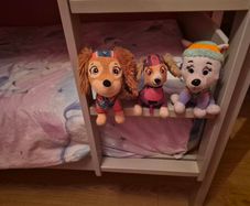 Paw Patrol