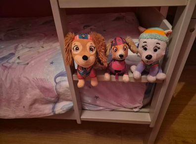 Paw Patrol