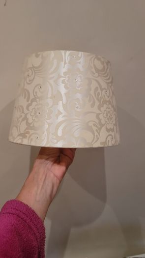 Free Lampshades x2