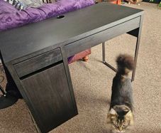 Free ikea desk