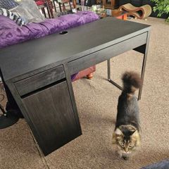 Free ikea desk