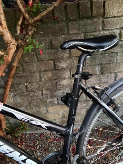Bike Adult Shimano Gear