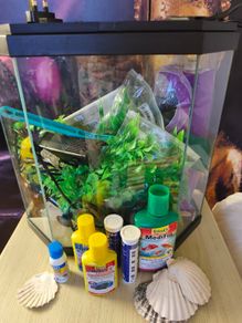 fish tank 20-25l
