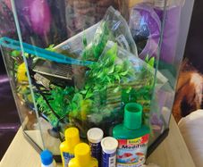 fish tank 20-25l