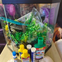 fish tank 20-25l