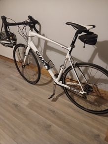 Giant Bike Xl Frame