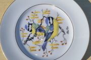 Royal Burlington Decorative plate