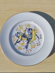 Royal Burlington Decorative plate