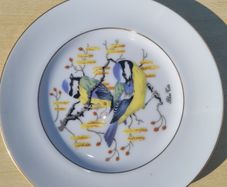 Royal Burlington Decorative plate