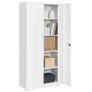 Steel cabinet lockable  Office, Garrage Image 2