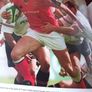Munster Our Road to Glory / 2006 Image 7