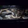 3D Background Vivariums Image 4