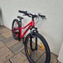 Trek Precaliber Mountain Bike Image 3