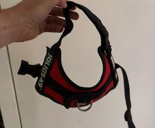 Julius K9 Dog Harness S Red