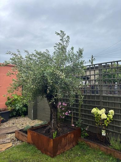 Soft landscaping services North Dublin