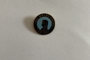 Vintage Joe Walsh Tours Pilgrimage Pin
