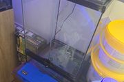 terrarium