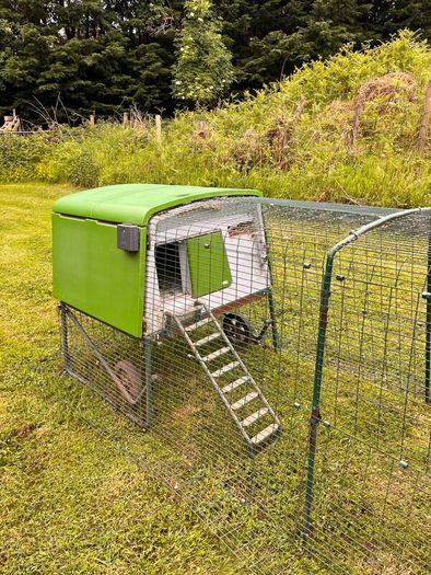 Omlet Chicken Coop and Run