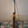 Ibanez AF-55 TF Image 3