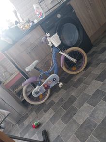 16 inch frozen bike