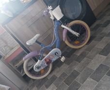 16 inch frozen bike