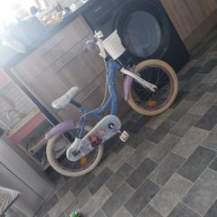 16 inch frozen bike