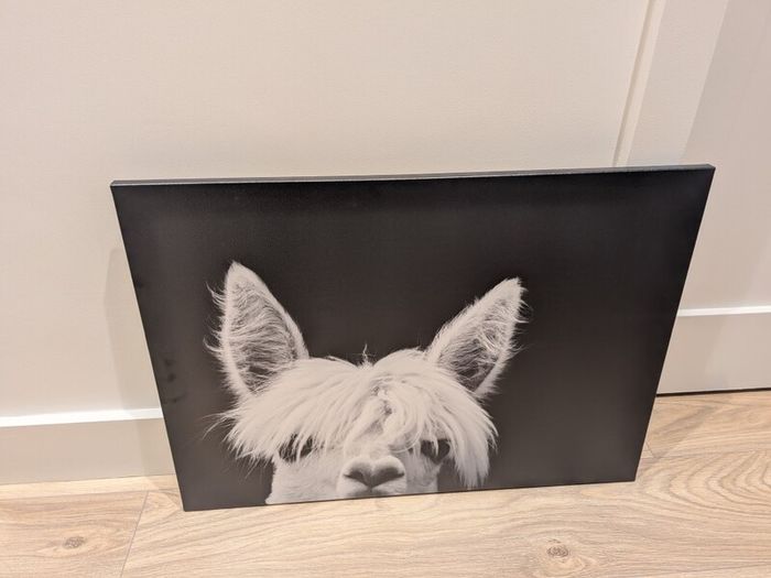 Alpaca Wall Art