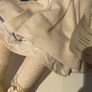Porcelain Dolls Image 8