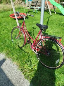 Apollo bicycle