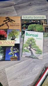 4 Bonsai Books