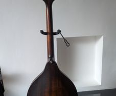 Eastman MDO305
