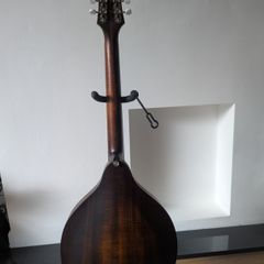 Eastman MDO305