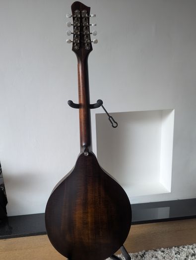 Eastman MDO305