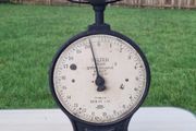Salter Vintage No 50 T  English Scale