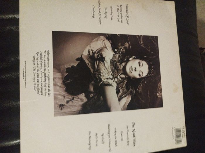 Kate Bush Hounds of love lp Irish press