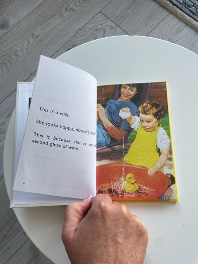 Vintage Ladybird for Adults