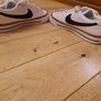 Nike Trainers (Mens) Image 4