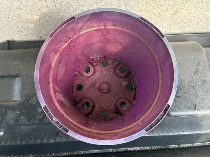 Plastic purple flower pot