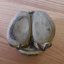 Small - Hand Crafted Pot with Feet Image 6