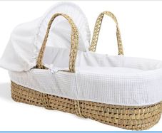 Moses basket and stand plus hood