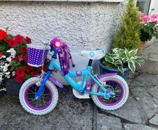 12inch Frozen bicycle